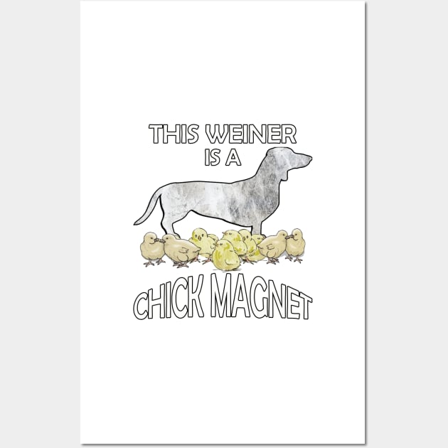 Dachshund Lover Cute Funny Doxie Quote This Weiner Is A Chick Magnet Wall Art by tamdevo1